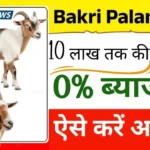 बकरी पालन के लिए सरकार दे रही सस्ता लोन और सब्सिडी, अभी करें ऑनलाइन आवेदन Bakri Palan Loan Yojana 2026