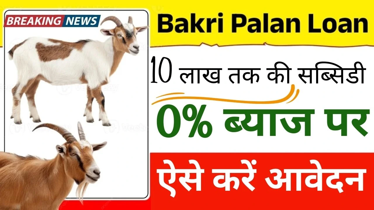 Bakri Palan Loan Yojana 2026